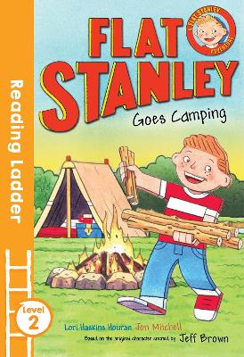Flat Stanley Goes Camping book