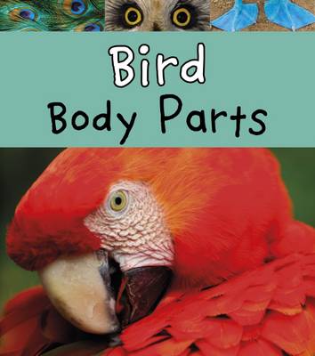 Bird Body Parts by Clare Lewis