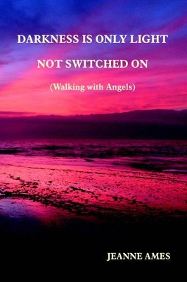 Darkness is Only Light Not Switched on (walking with Angels) book