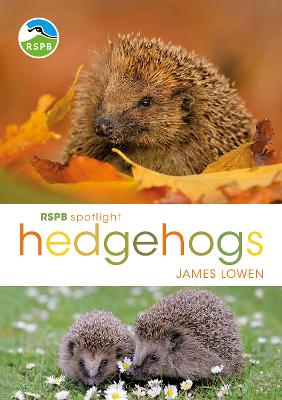 Rspb Spotlight Hedgehogs book