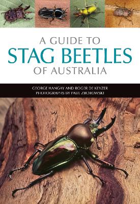 Guide to Stag Beetles of Australia book