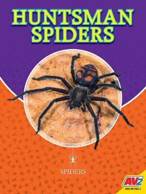 Huntsman Spiders book