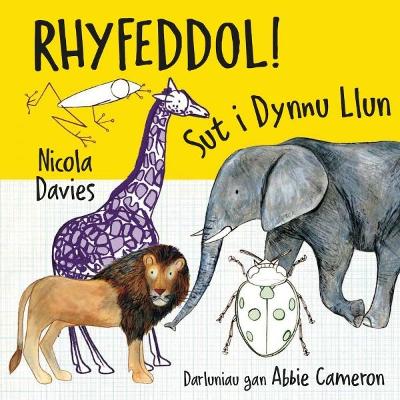 Rhyfeddol! Sut i Dynnu Llun by Nicola Davies