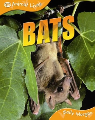 Bats book