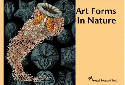 Art Forms in Nature Postcard Book: Ernst Haeckel book