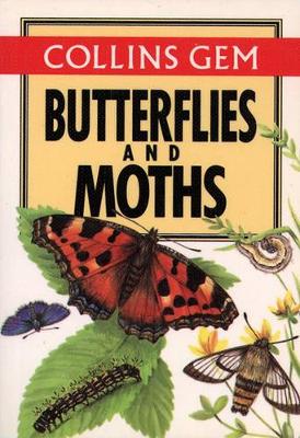 Butterflies and Moths book