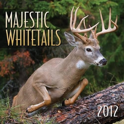 Majestic Whitetails 2012 book