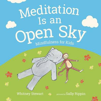 Meditation Is an Open Sky book