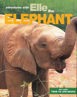 Adventures with Elle the Elephant book