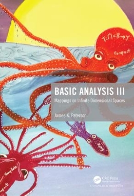 Basic Analysis III: Mappings on Infinite Dimensional Spaces book