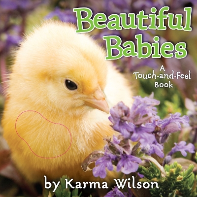 Beautiful Babies: A Touch and Feel Book book