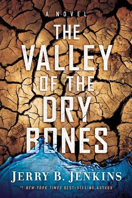 Valley of the Dry Bones book