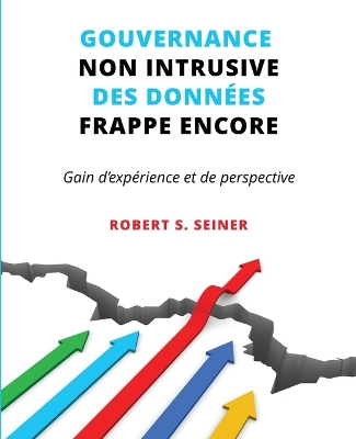 Gouvernance non intrusive des données frappe encore book