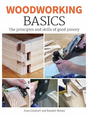 Woodworking Basics: The Principles and Skills of Good Carpentry book