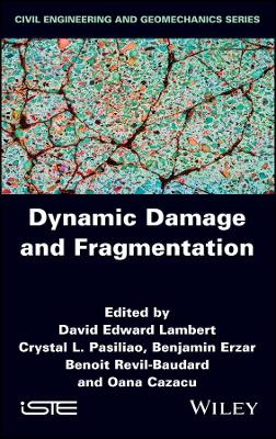 Dynamic Damage and Fragmentation book