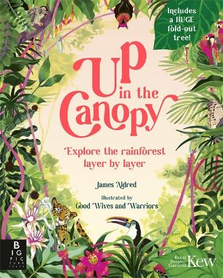 Up in the Canopy: Explore the Rainforest, Layer by Layer book