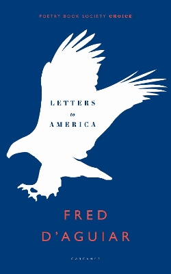 Letters to America book