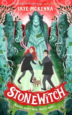Hedgewitch: Stonewitch: Book 4: The enchanting series brimming with mystery and magic book