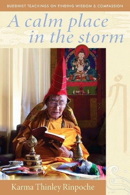 A Calm Place in the Storm: Buddhist Teachings on Finding Wisdom and Compassion book