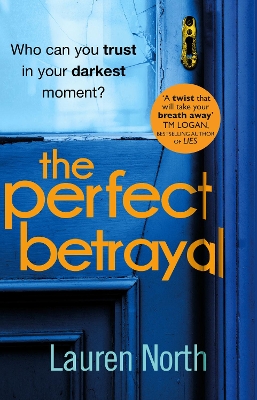 The Perfect Betrayal book