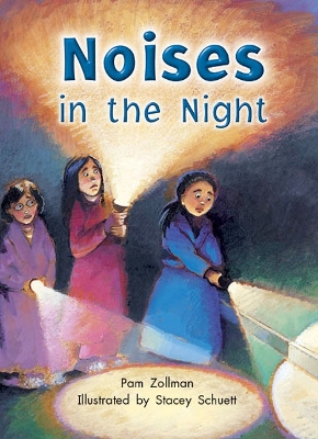 Rigby Literacy Collections Take-Home Library Middle Primary: Noises in the Night (Reading Level 22/F&P Level M) book