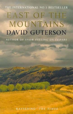 East of the Mountains book