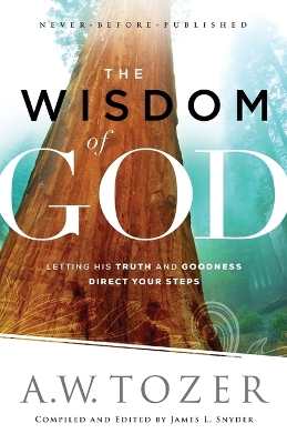 Wisdom of God book