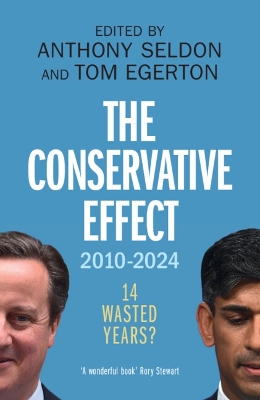 The Conservative Effect, 2010–2024: 14 Wasted Years? book