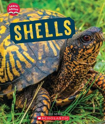 Shells (Learn About: Animal Coverings) book