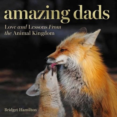 Amazing Dads book