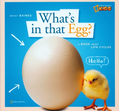 ZigZag: What's in That Egg? book