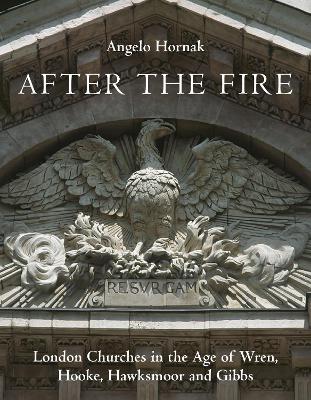 After the Fire book