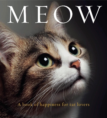 Meow by Anouska Jones