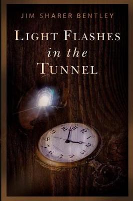 Light Flashes in the Tunnel book