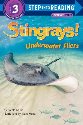 Stingrays! Underwater Fliers book