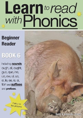 Learn to Read with Phonics: v. 8, Bk. 6: Beginner Reader book