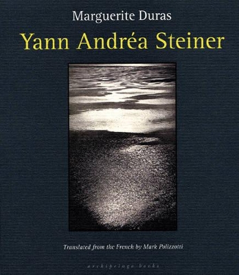 Yann Andrea Steiner book