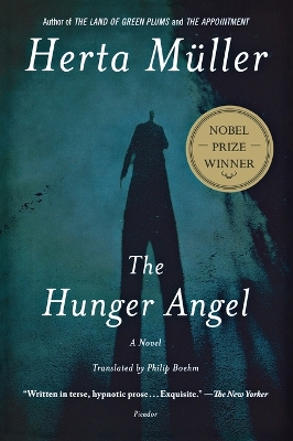 Hunger Angel book