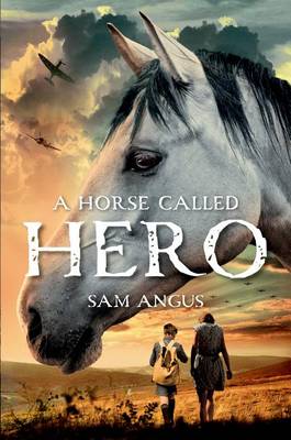Horse Called Hero book