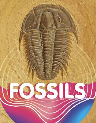 Fossils by Keli Sipperley