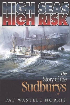 High Seas, High Risk book