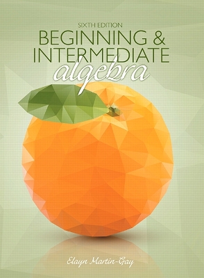 Beginning & Intermediate Algebra book