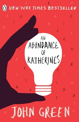 Abundance Of Katherines book