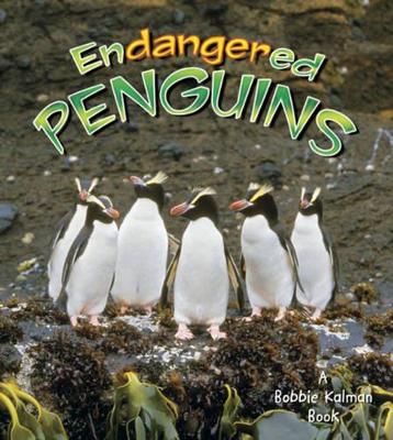 Endangered Penguins book