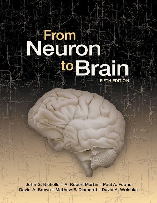 From Neuron to Brain book