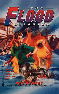 Flood Disaster book