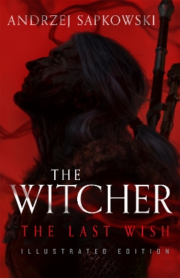 The Last Wish: Introducing the Witcher - Now a major Netflix show by Andrzej Sapkowski
