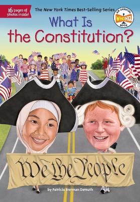 What Is the Constitution? book