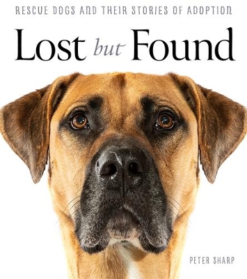 Lost But Found book