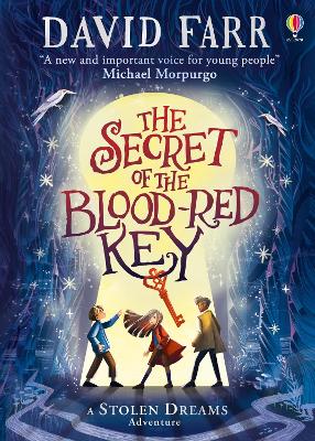 The Secret of the Blood-Red Key book